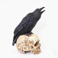 Skull&raven1